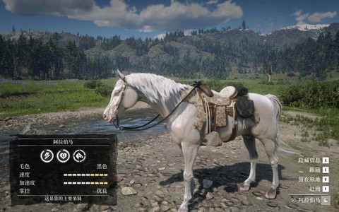 荒野大镖客2什么马大[图2]