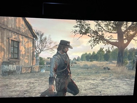 荒野大镖客普通版如何