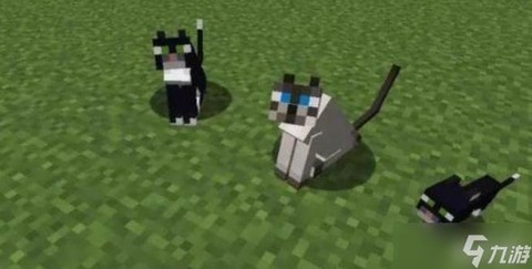 我的世界怎么驯养猫