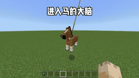 我的世界骷髅马怎么驯服