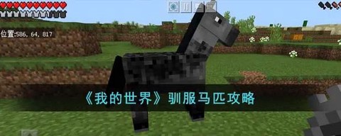我的世界骷髅马怎么驯服[图2]